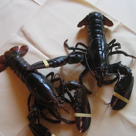 Lindenhof Mönchengladbach