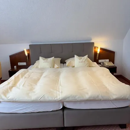 Hotel Lindenhof