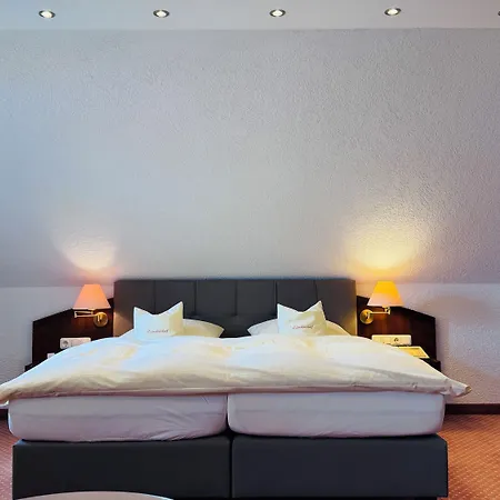 Lindenhof Kasteel 3*