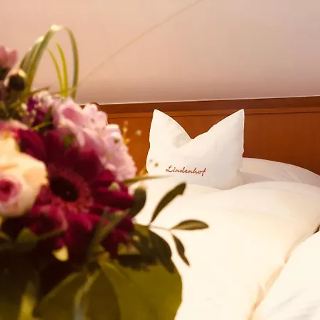 Lindenhof Kasteel 3*