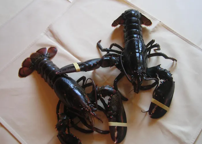 Lindenhof Mönchengladbach